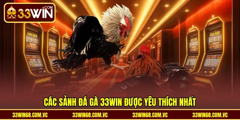 Các sảnh đá gà 33WIN được yêu thích nhất
