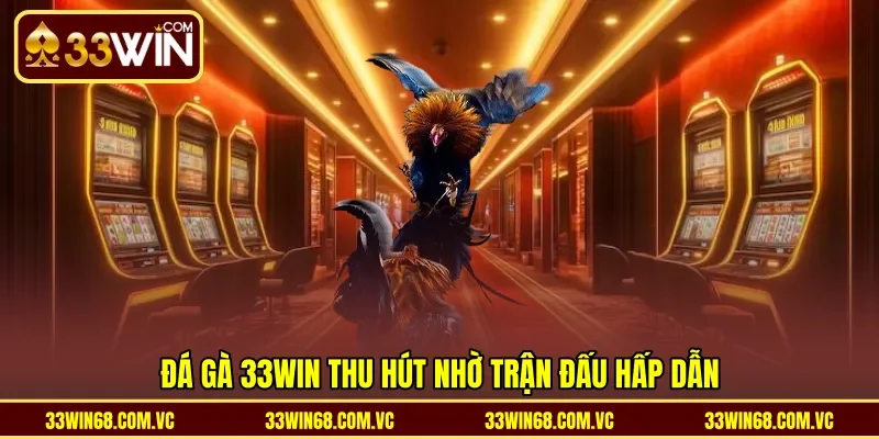 Đá gà 33WIN thu hút nhờ trận đấu hấp dẫn