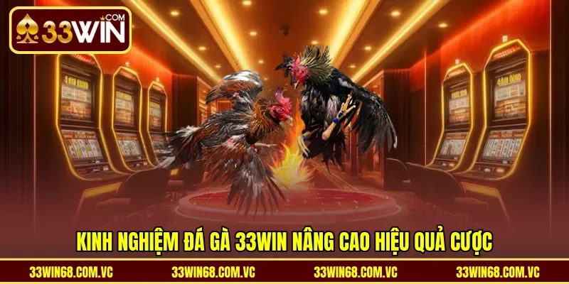Kinh nghiệm đá gà 33WIN nâng cao hiệu quả cược