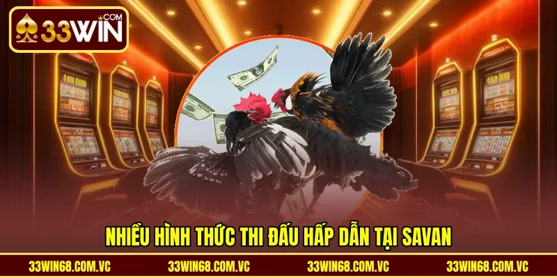Nhiều hình thức thi đấu hấp dẫn tại Savan